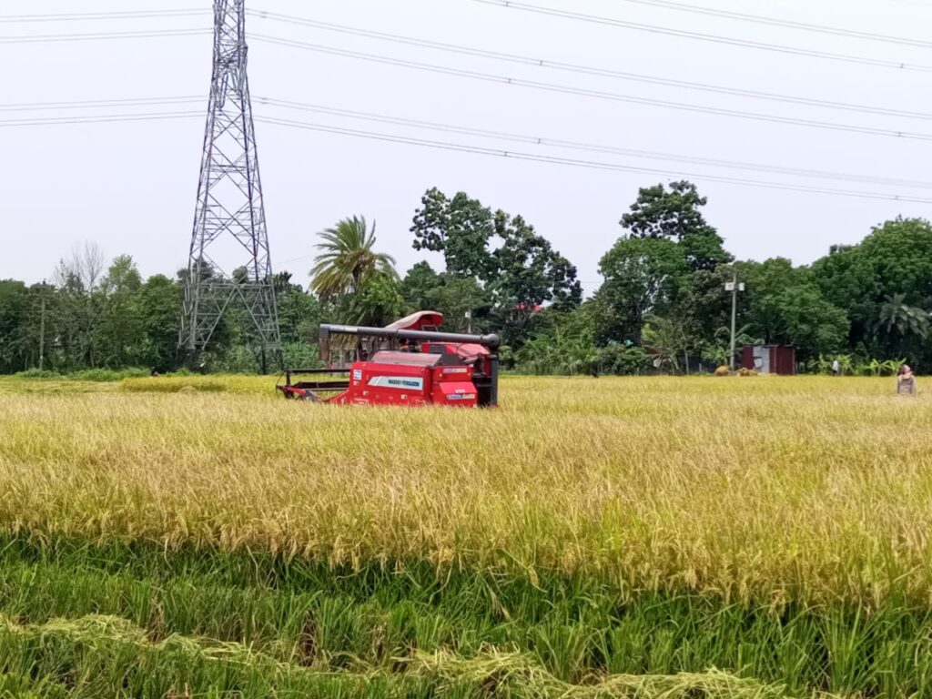 আটঘরিয়ায় ভ্রাম্যমাণ আদালতের অভিযান: অনিয়মে জরিমানা, অবৈধ চিকিৎসায় কঠোর ব্যবস্থা